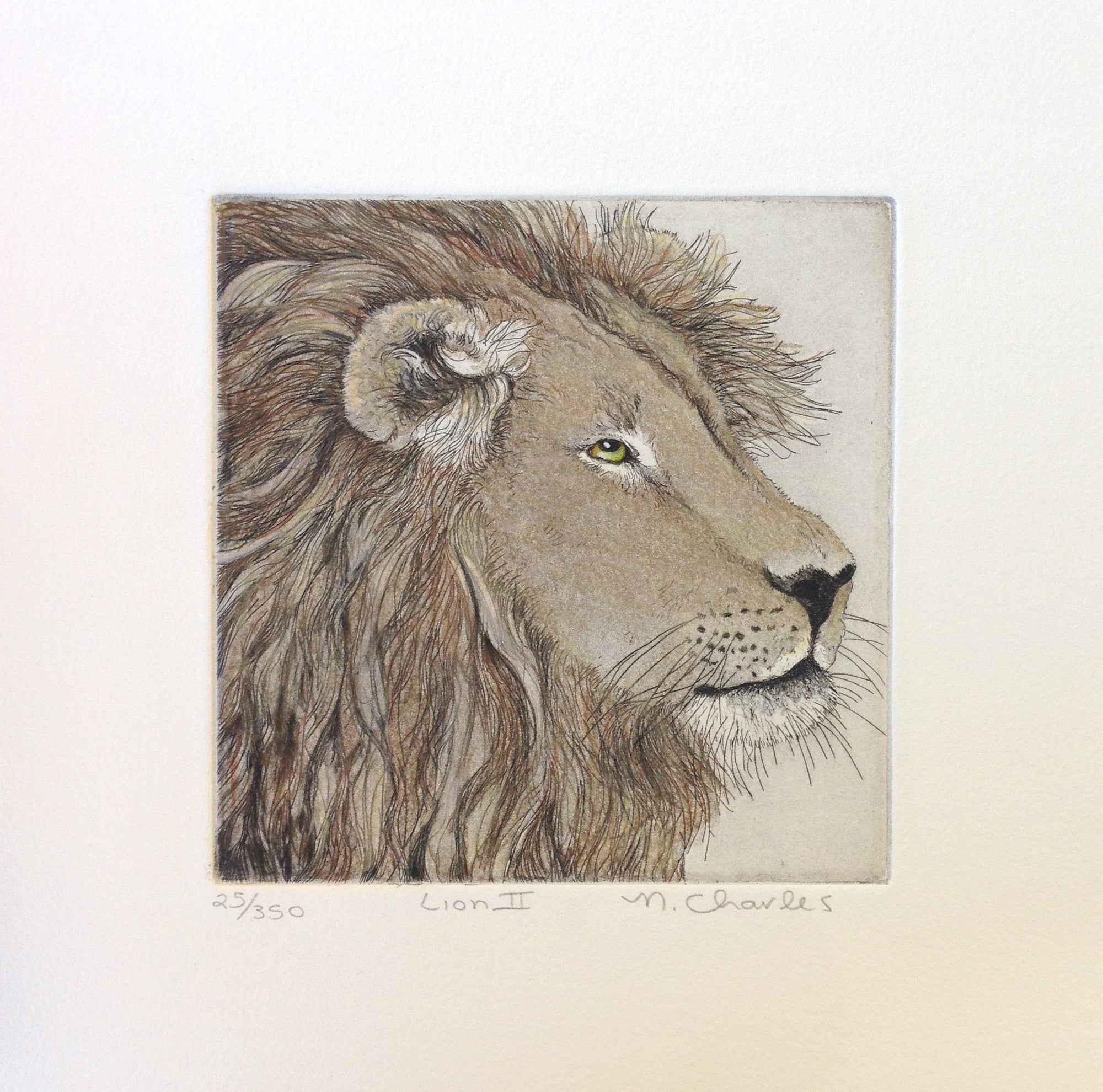 Lion II