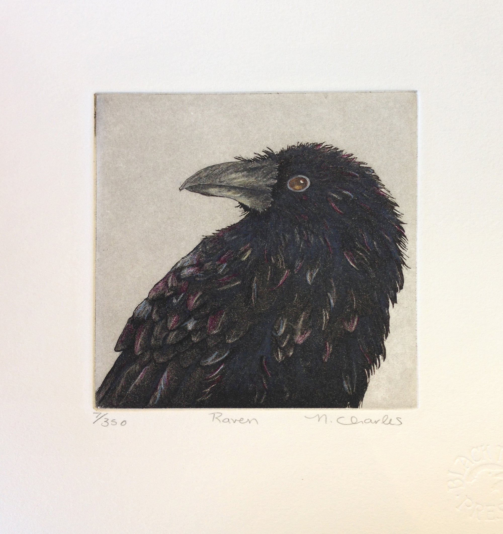 Raven