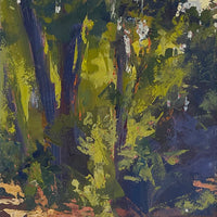 Light Through Trees
