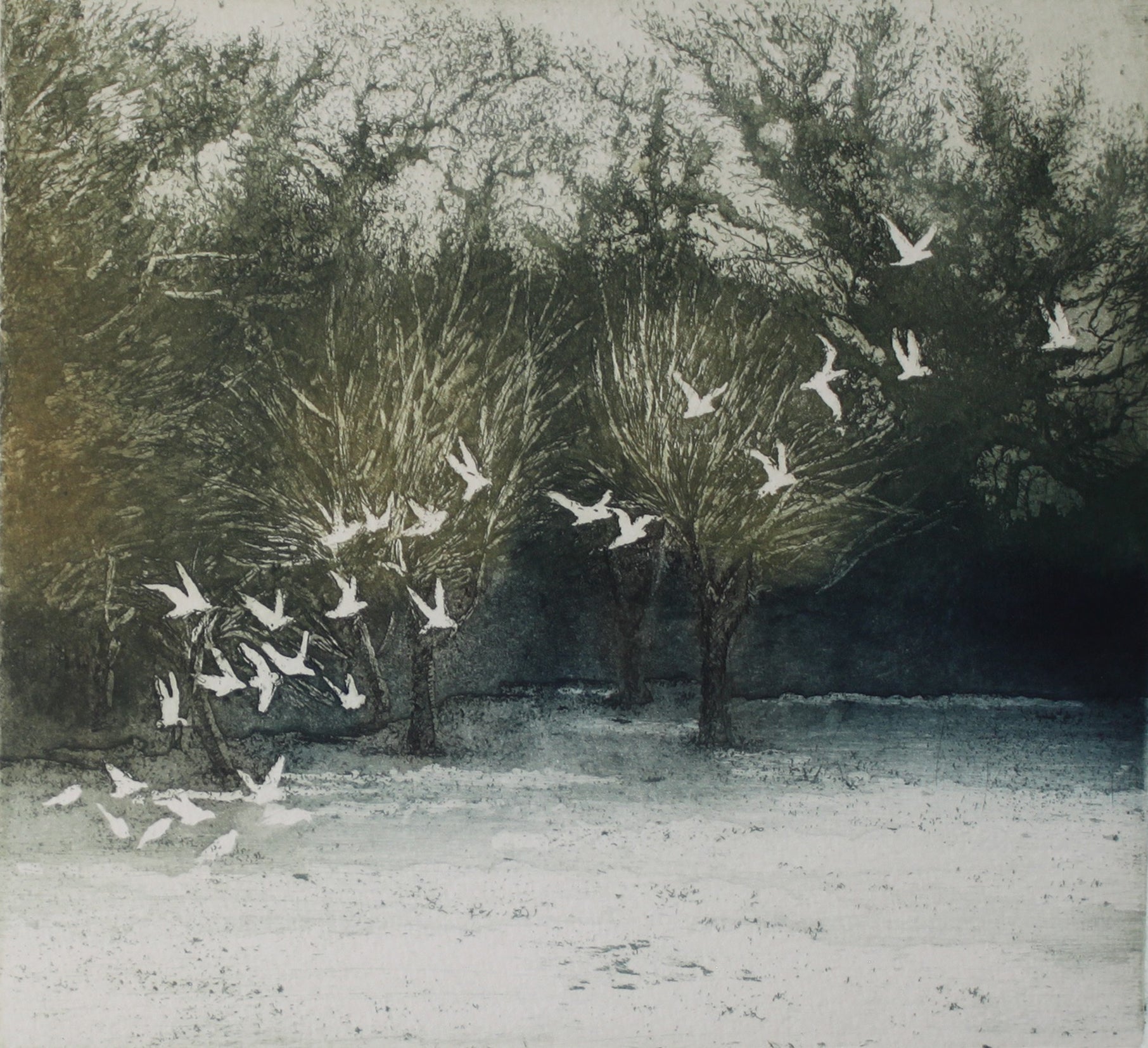 Hand colored etching of snowy landscape with a flock of doves taking flight.