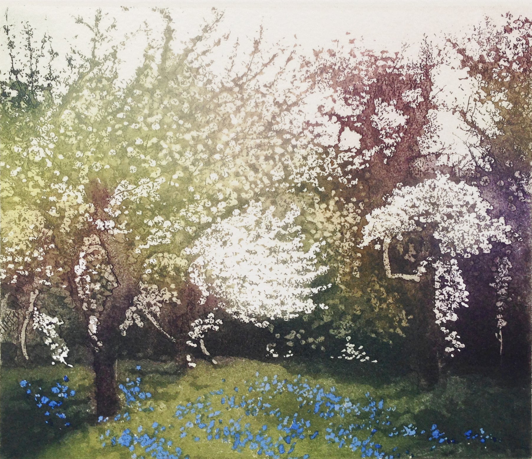 Hand colored etching of flowering tress and blue flowers blooming underneath.