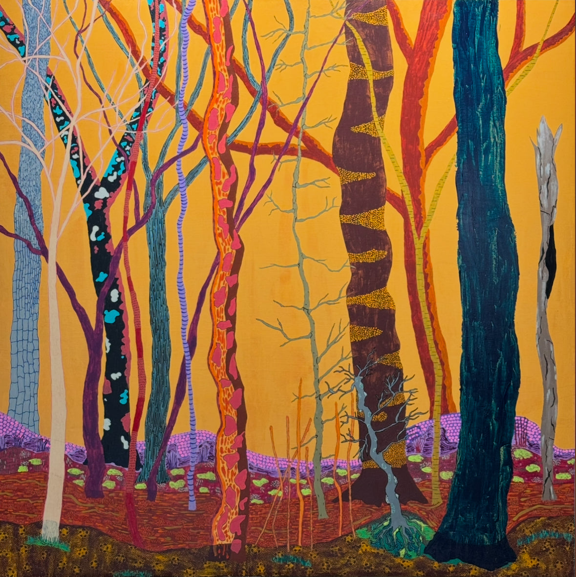 Jan Conn