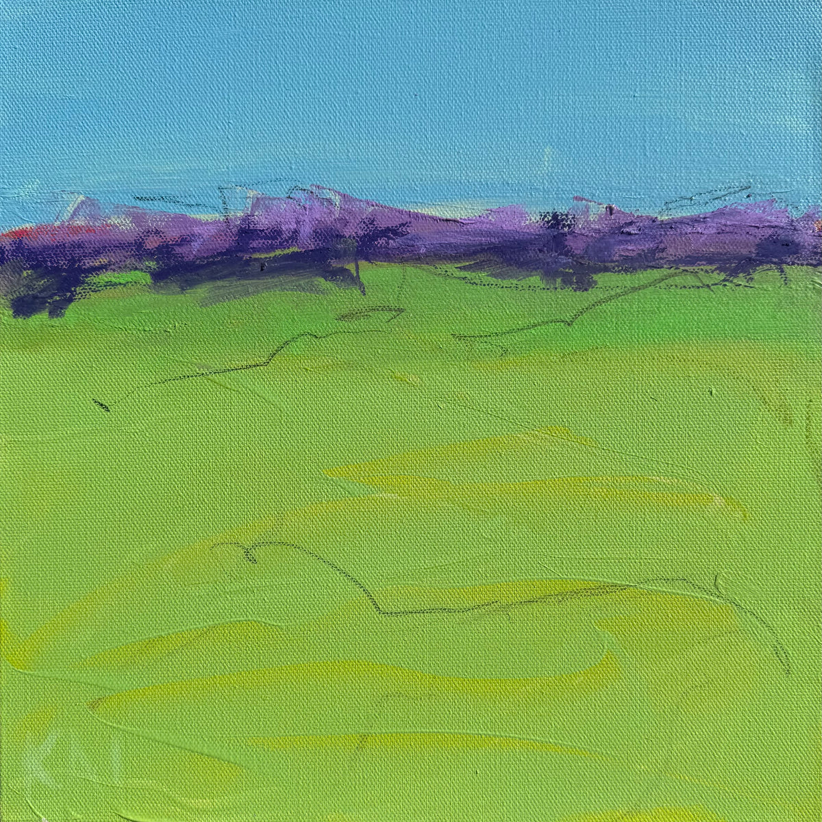 Aqua &amp; Green