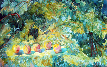 Apricots in Landscape