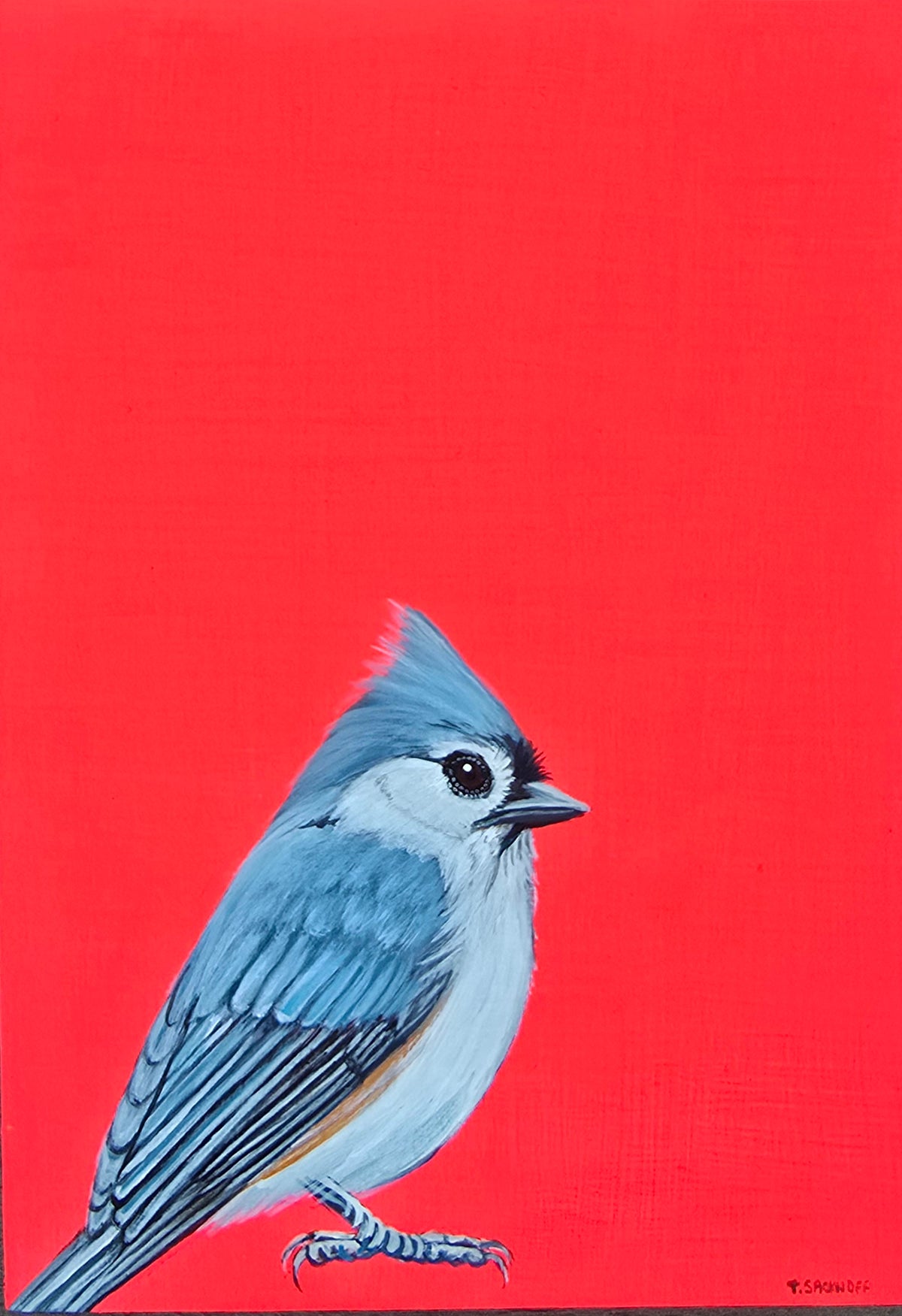 Pink Titmouse Tufted Titmouse/Fluorescent Pink – Lauren Clark Fine Art