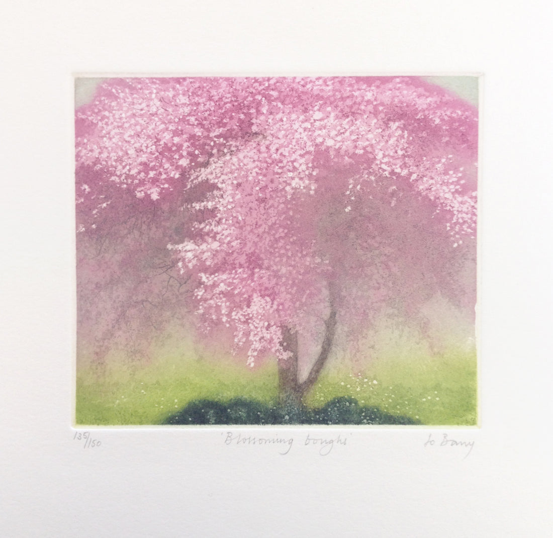 Hand colored etching of blossoming pink cheery tree in spring. 