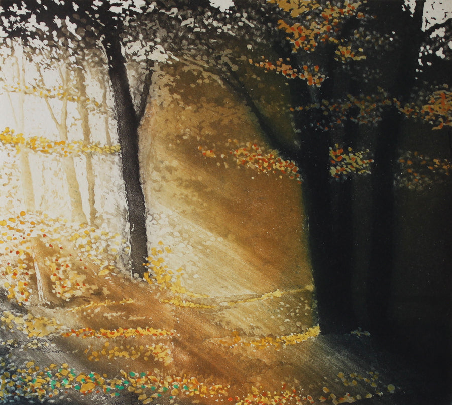 Hand colored etching of a forrest at golden hour in autumn.