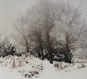 Hand colored etching of a snowy landscape with trees.