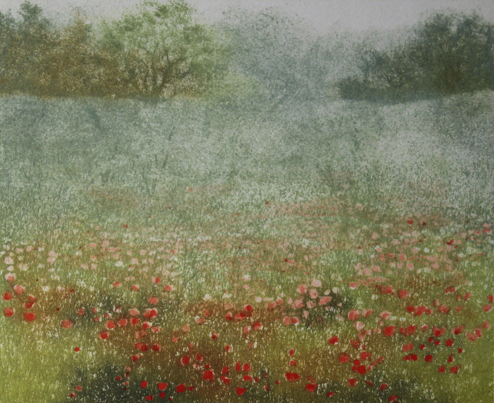 Hand colored etching of flower meadow landscape.