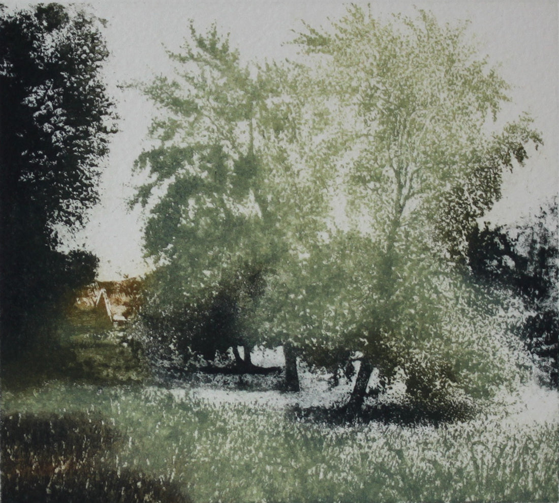 Hand colored etching of trees and meadow landscape.