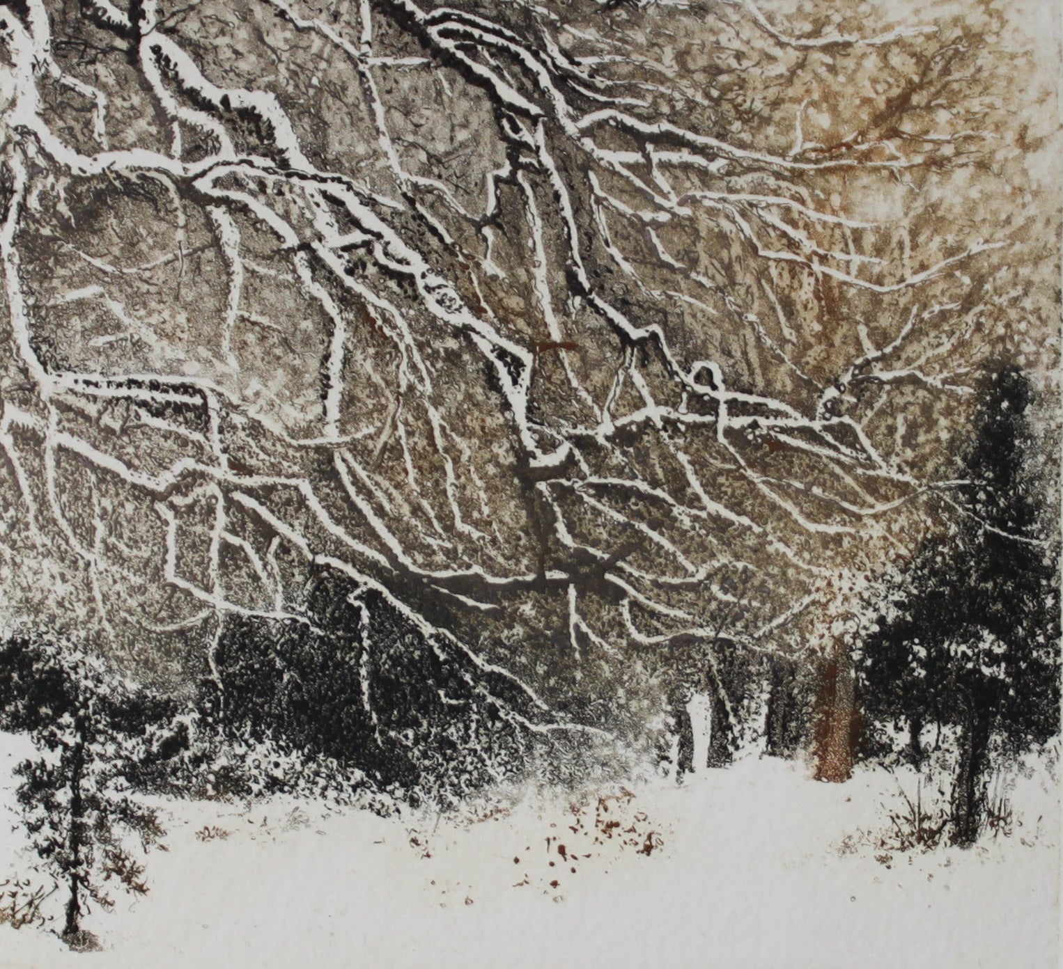 Hand colored etching of snow covered trees.