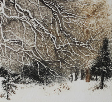 Hand colored etching of snow covered trees.