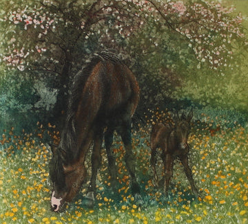 Hand colored etching of mare and foal grazing in a spring meadow.