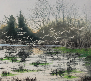 Hand colored etching of marsh with flock of birds taking flight.